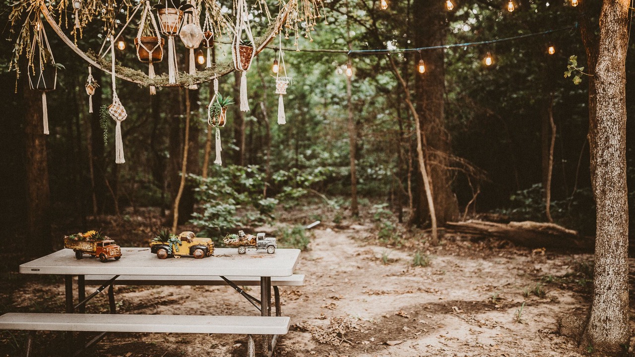 Photo of Outdoor in Elmo