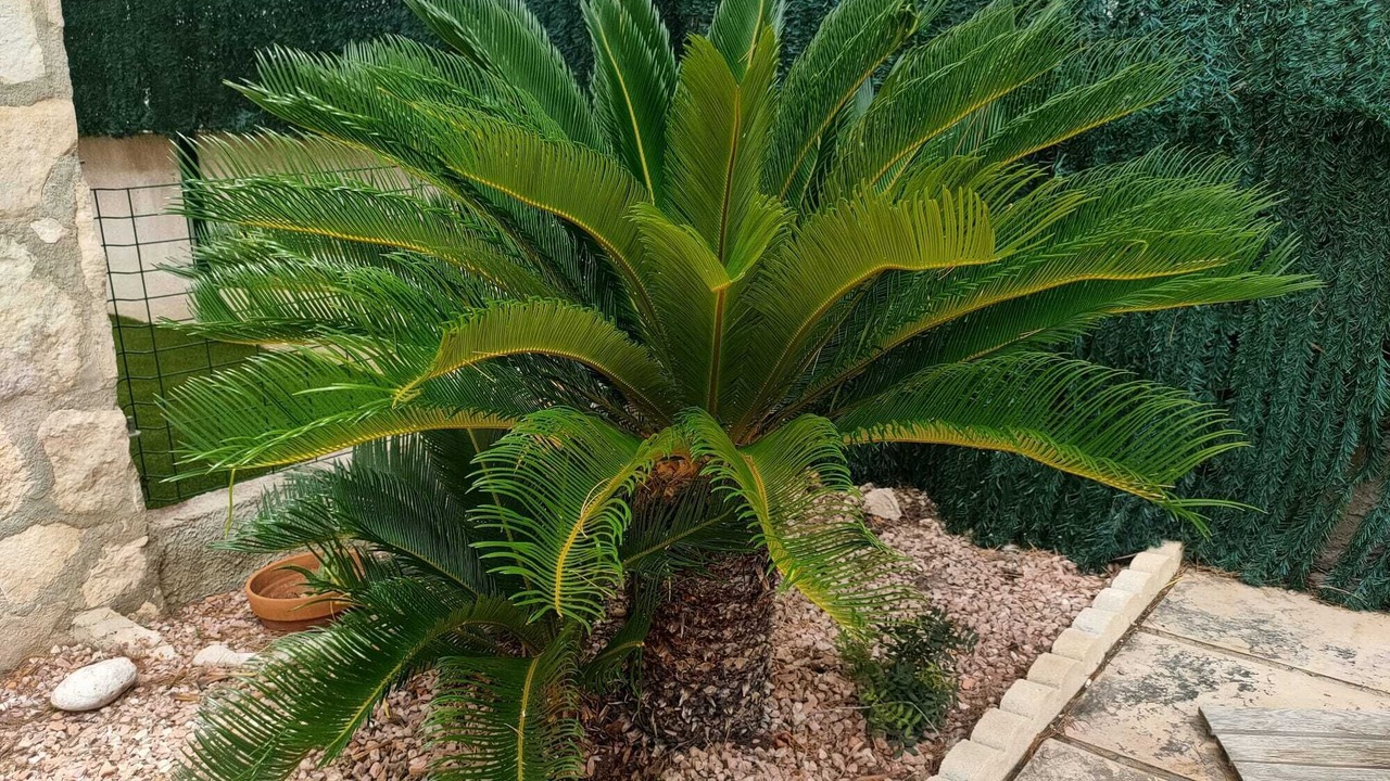Photo of Outdoor in Les Tres Cales