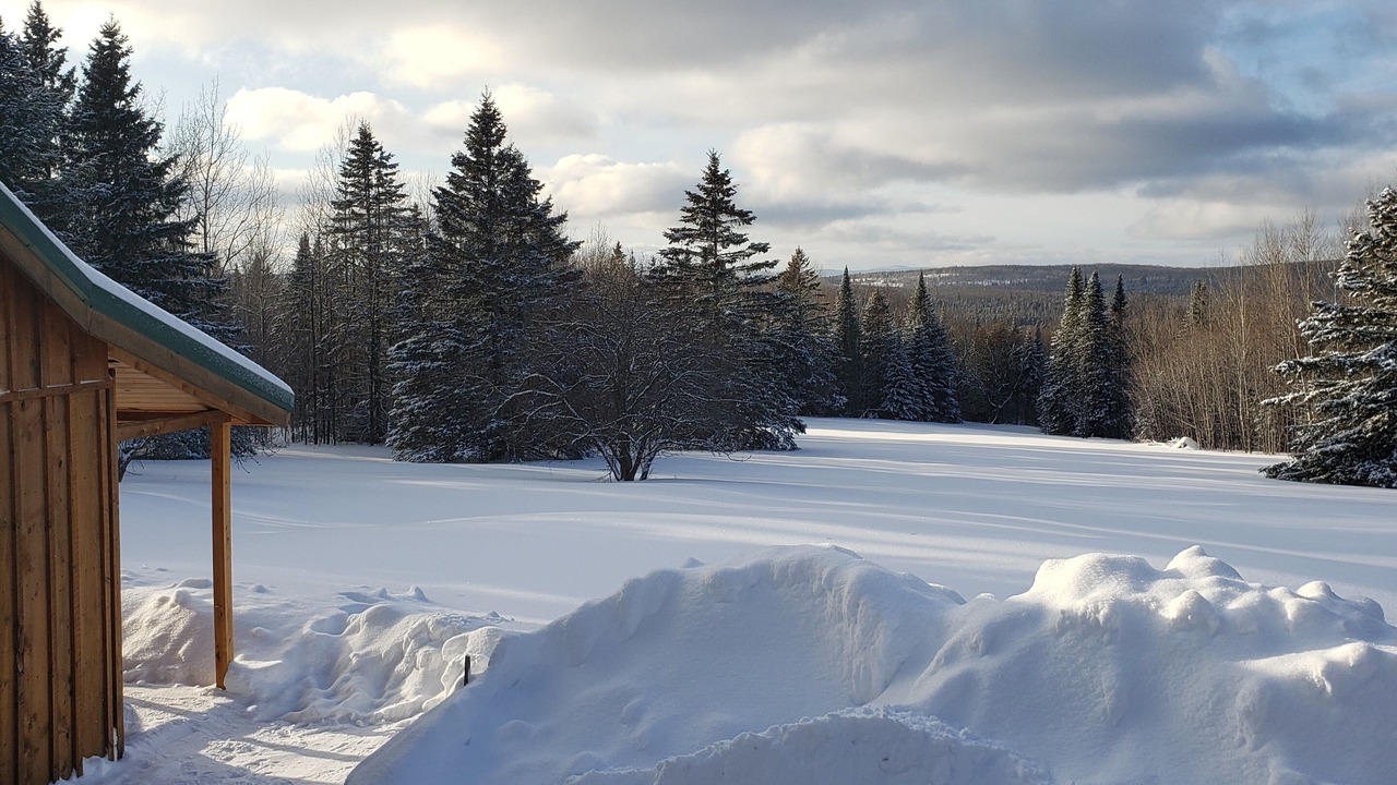 Photo of Outdoor in Perham