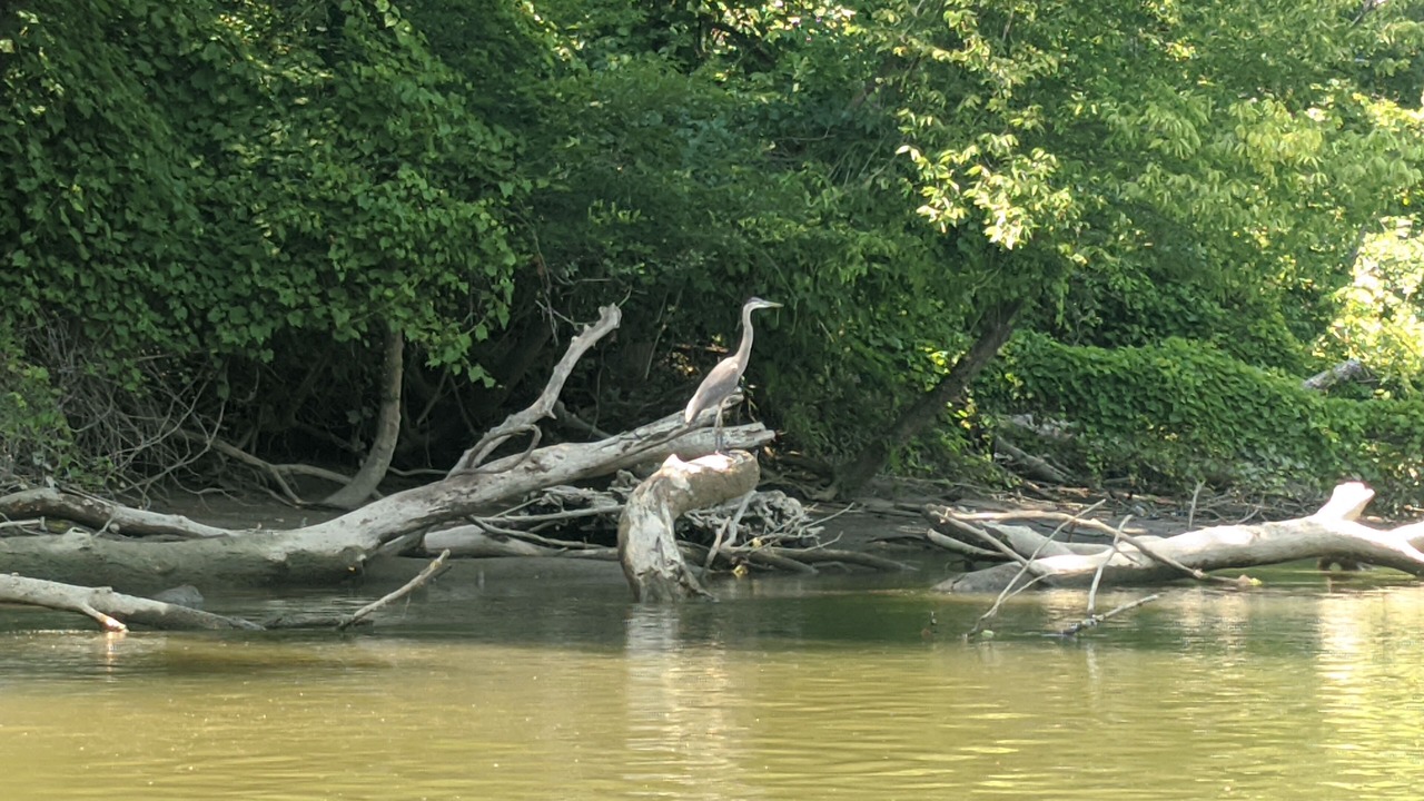 Photo of Others in New Richmond