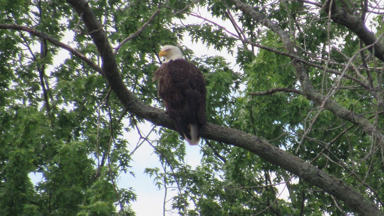 Photo of Outdoor in New Richmond