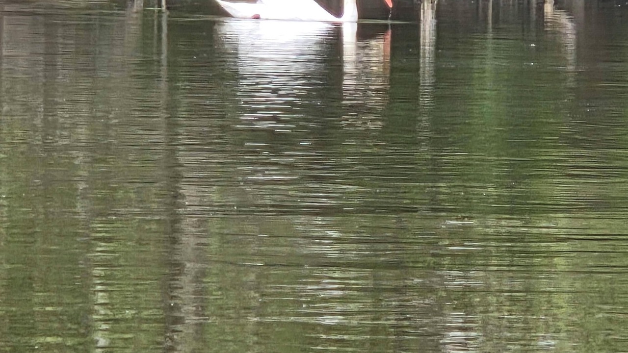 Photo of Others in New Richmond