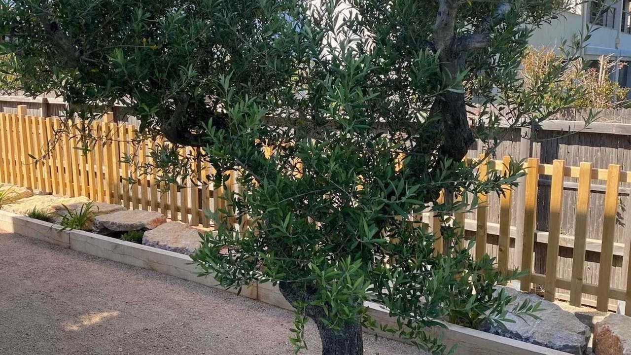 Photo of Outdoor in Cavaliere