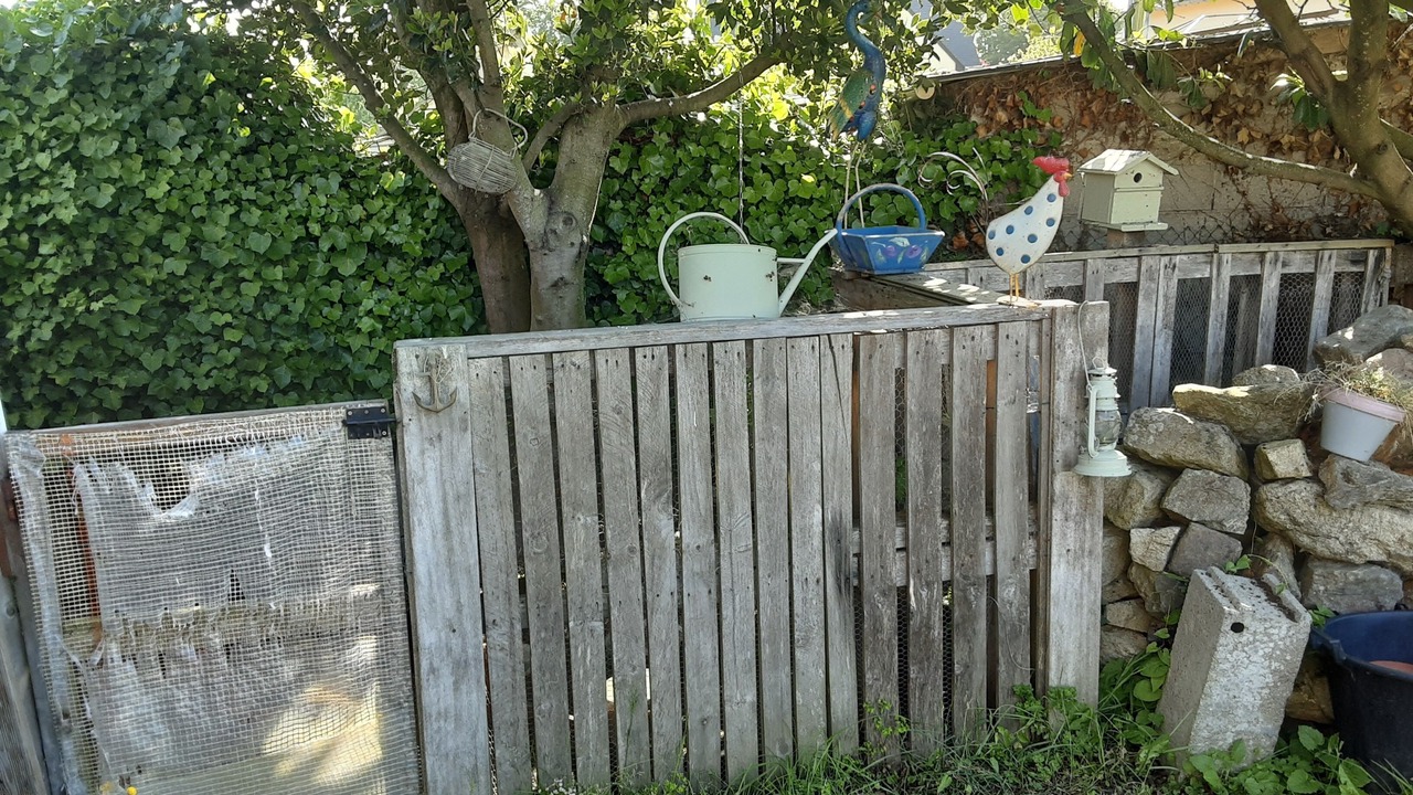 Photo of Outdoor in Saint-Lunaire