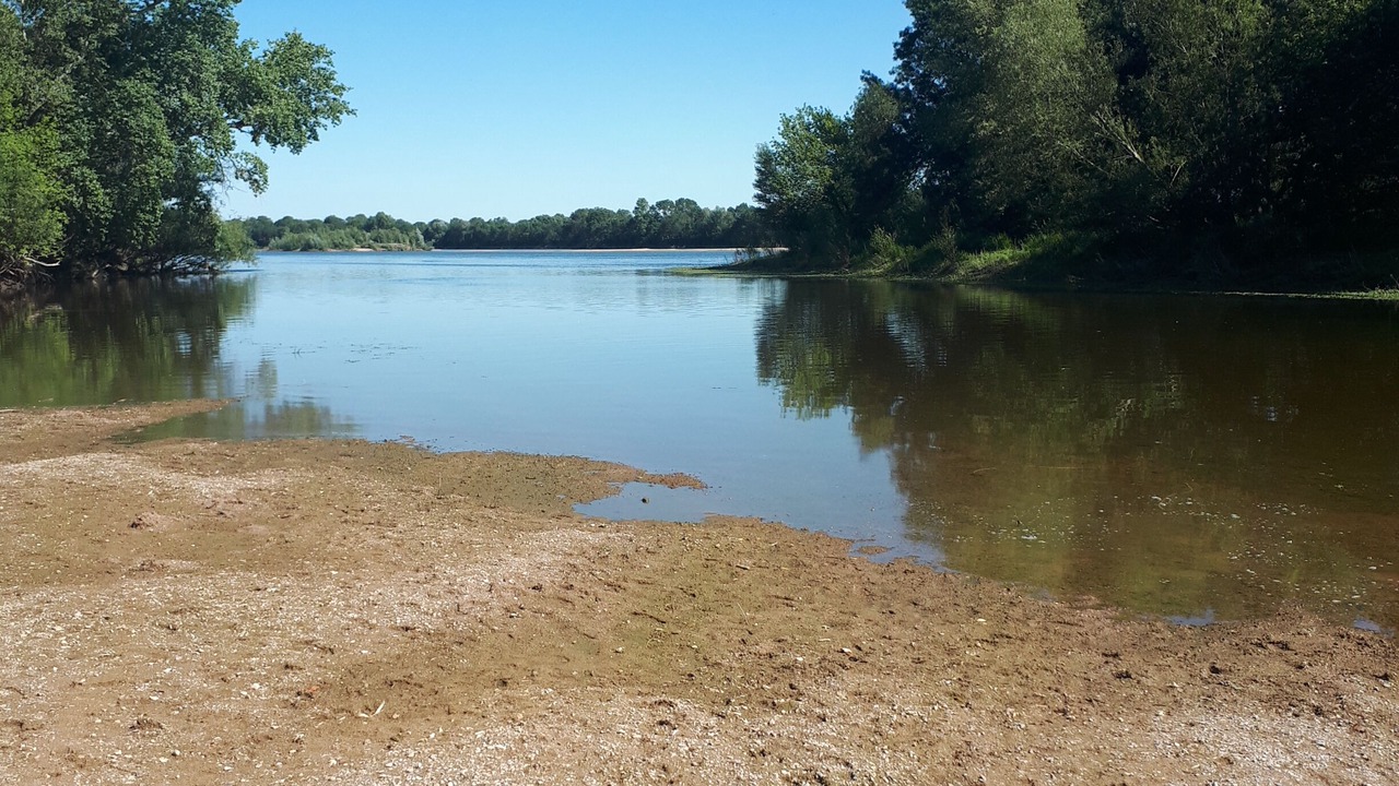 Photo of Others in Chenehutte-Treves-Cunault