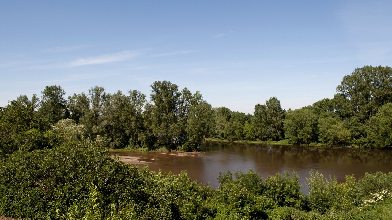 Photo of Others in Chenehutte-Treves-Cunault
