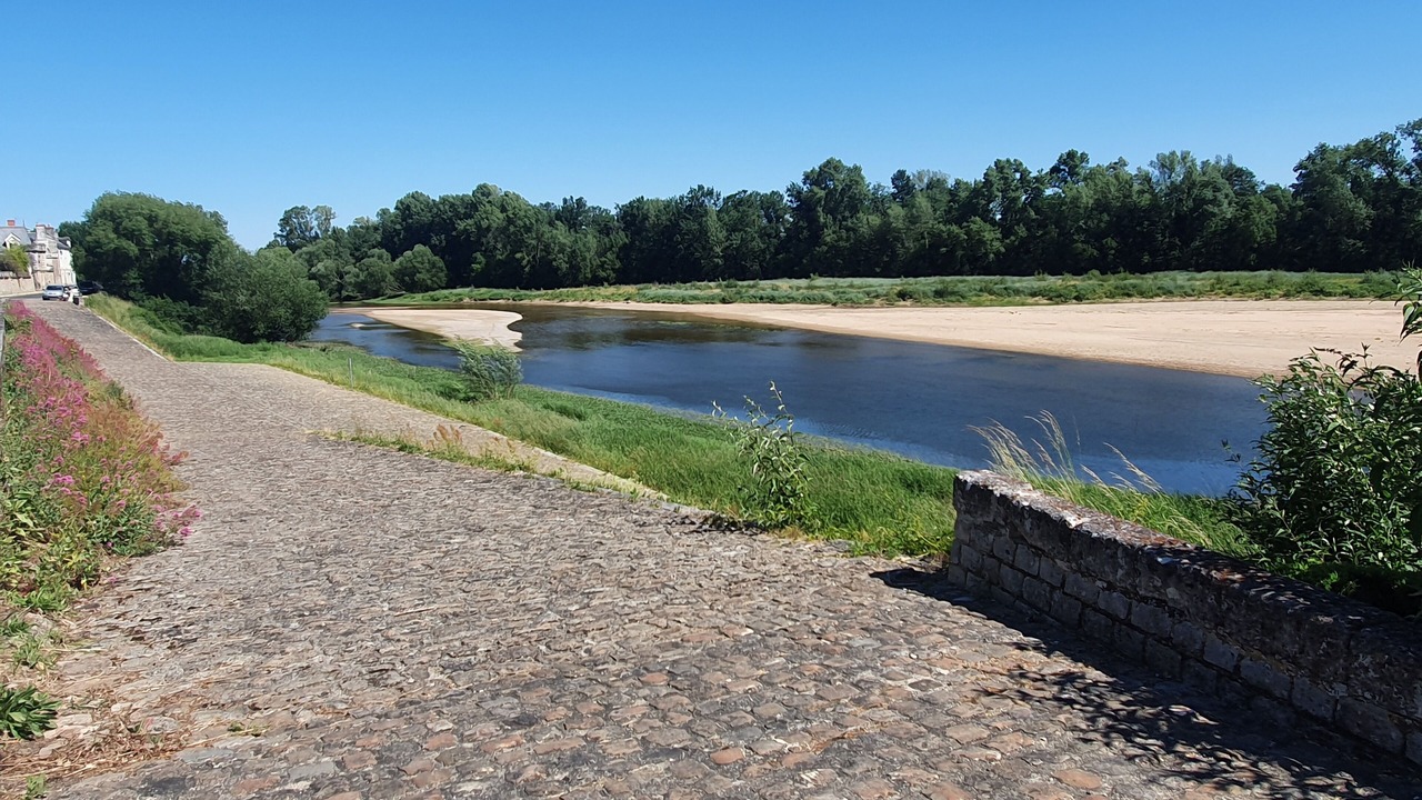 Photo of Outdoor in Chenehutte-Treves-Cunault