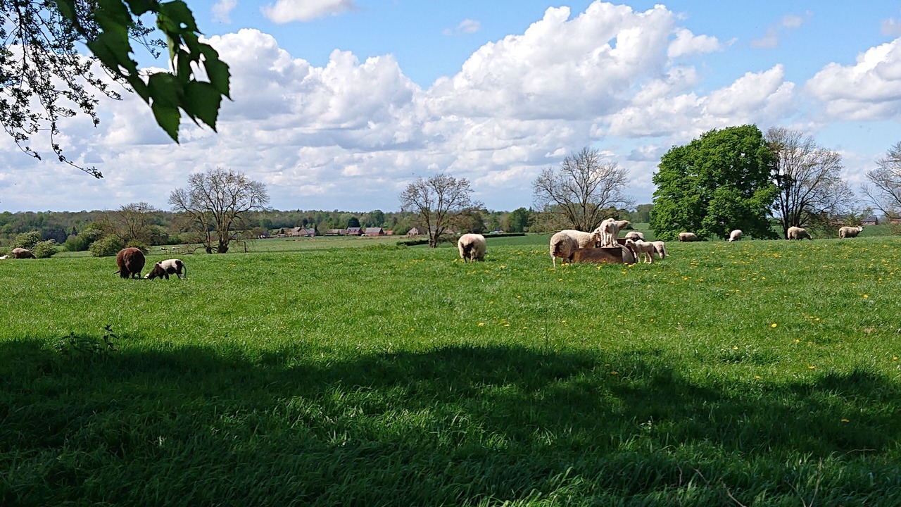 Photo of Outdoor in Gussignies