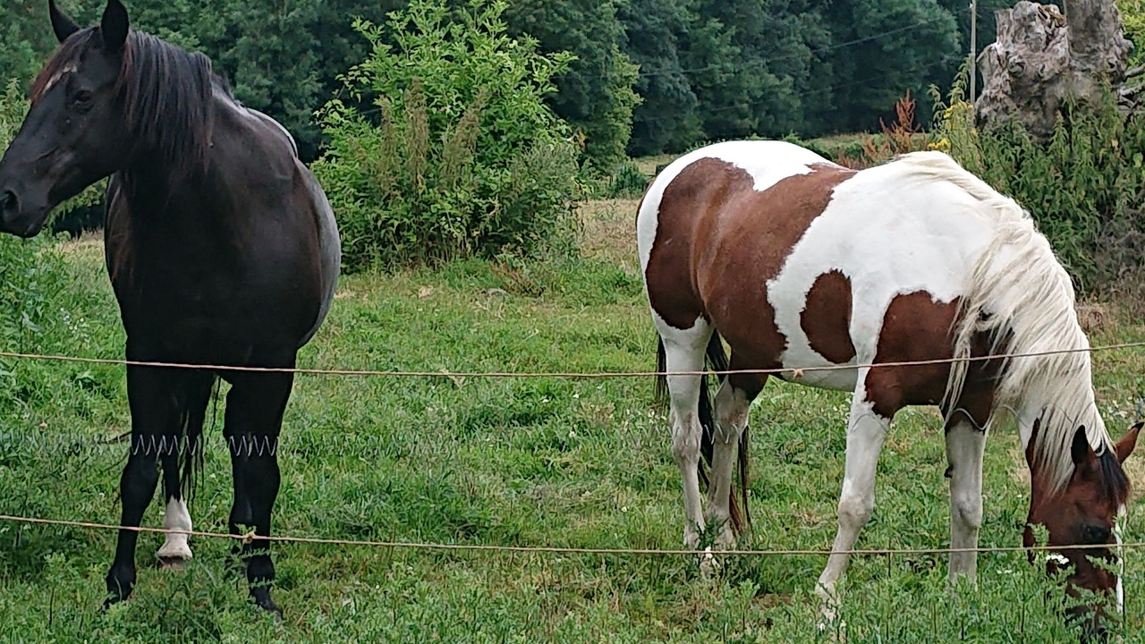 Photo of Outdoor in Gussignies