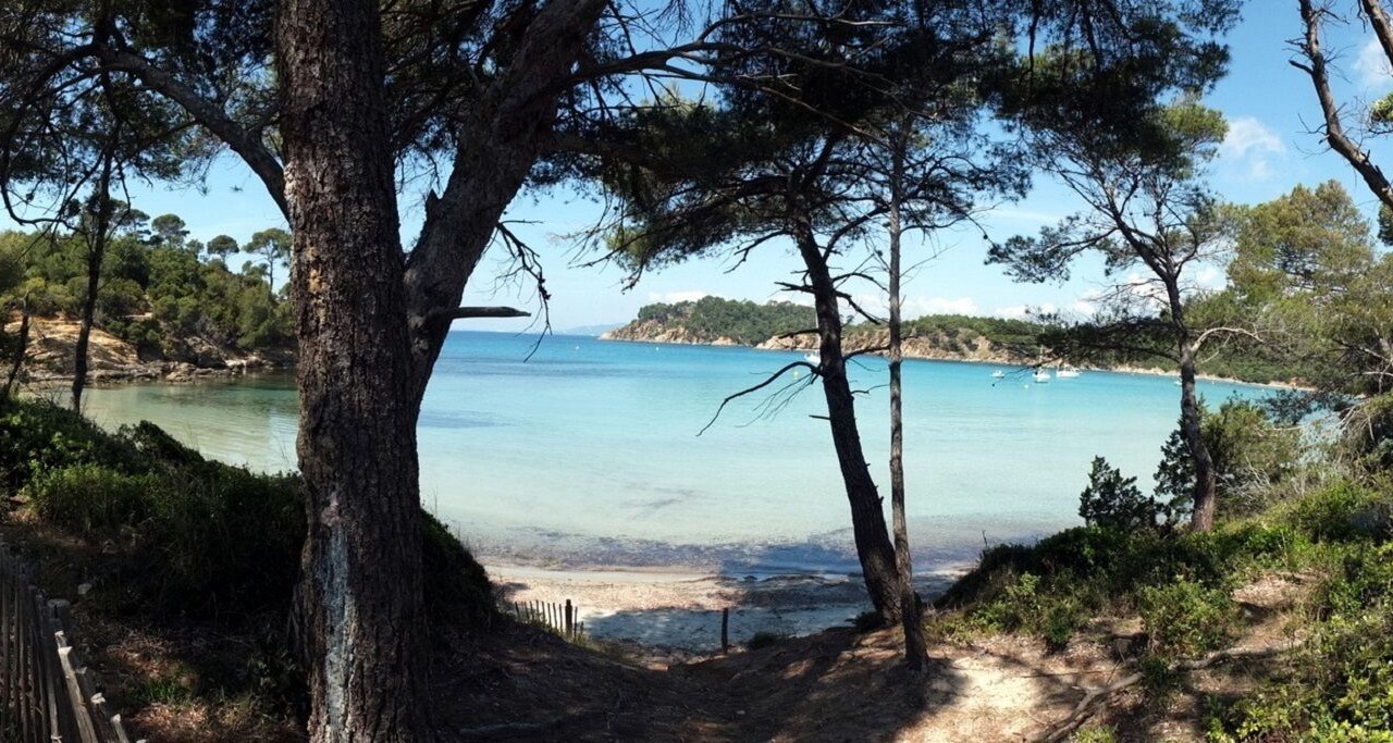 Photo of Others in Le Mourillon