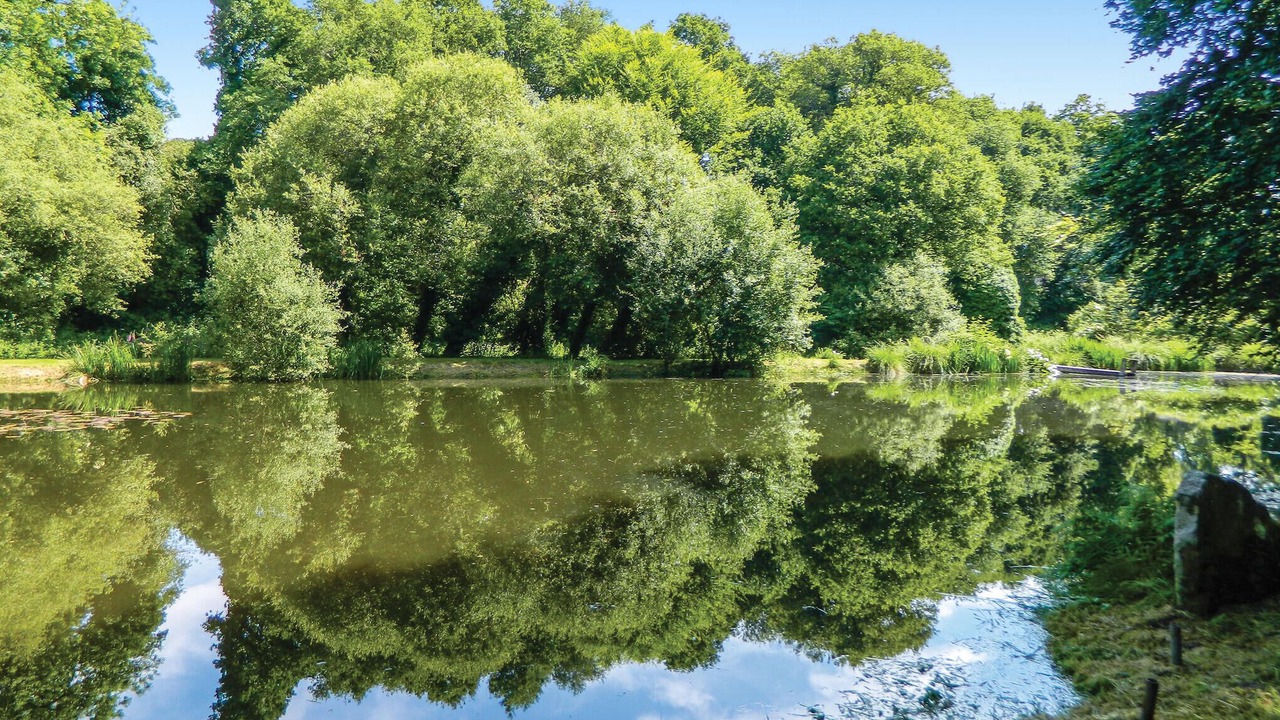 Photo of Others in Guern