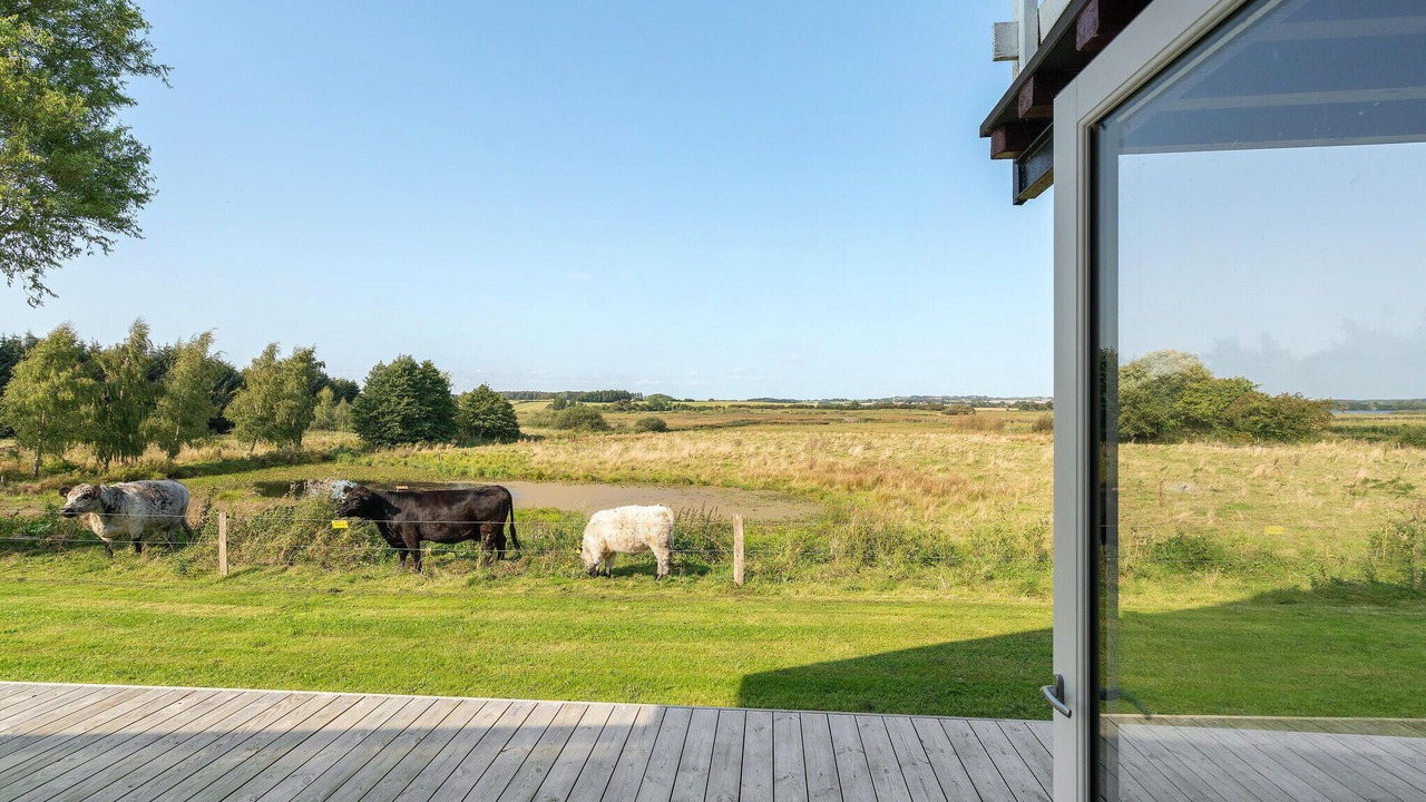 Photo of Others in Fynshav