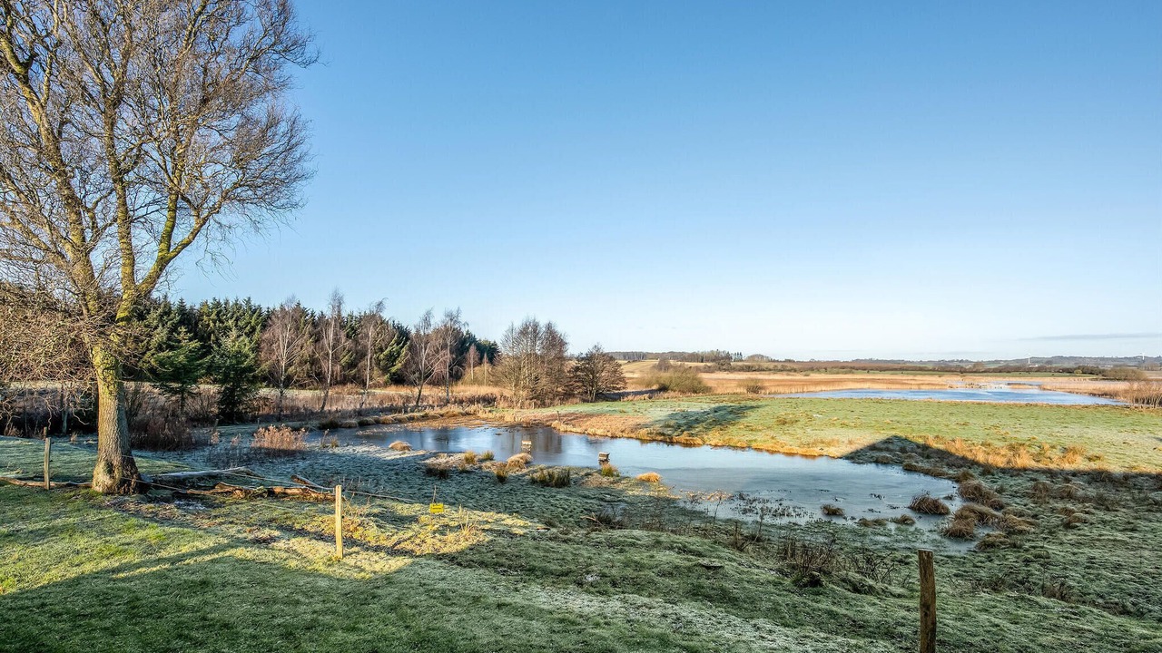 Photo of Others in Fynshav