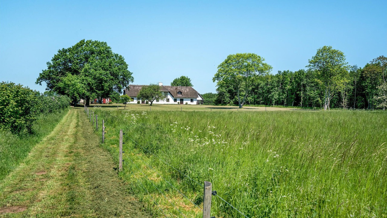Photo of Others in Gelsted