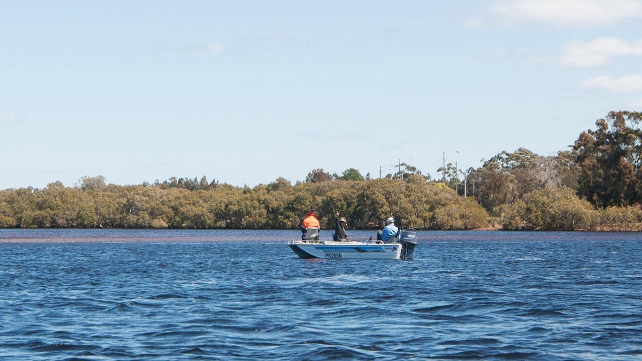 Photo of Others in Tea Gardens