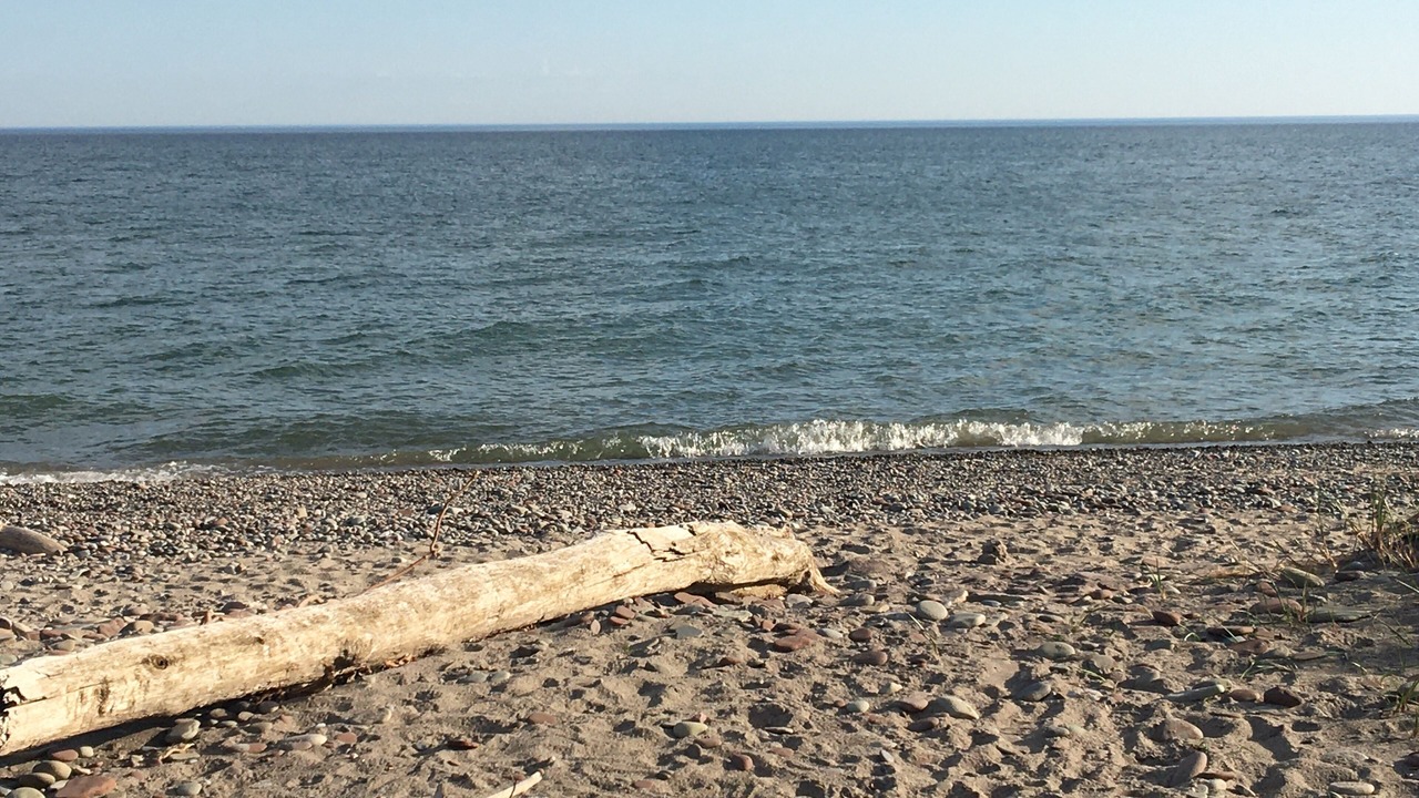 Photo of Others in Sodus Point