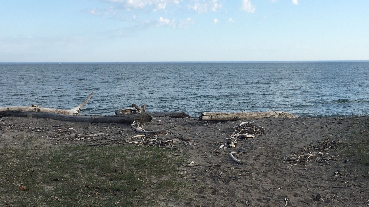 Photo of Others in Sodus Point