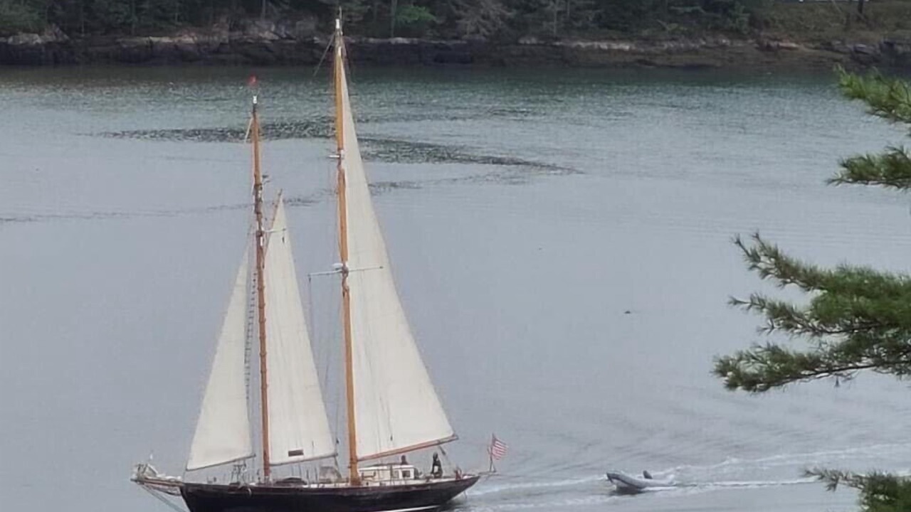 Photo of Others in Wiscasset