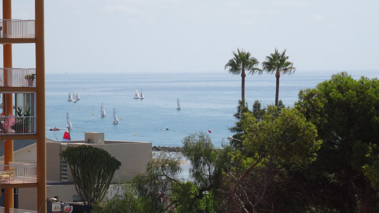 Photo of Others in Benicassim