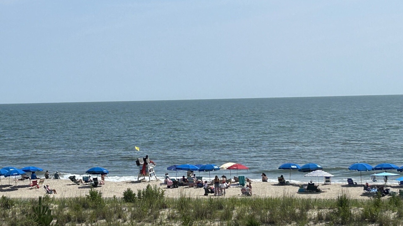 Photo of Others in The Pines