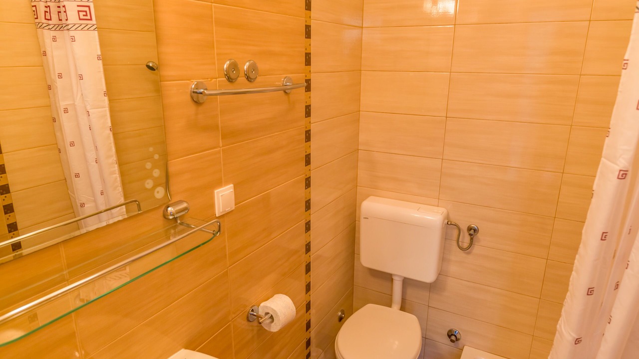 Photo of Bathroom in Polace