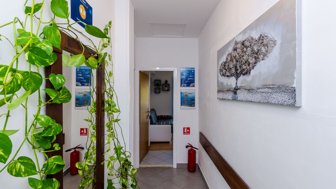 Photo of Outdoor in Pomena