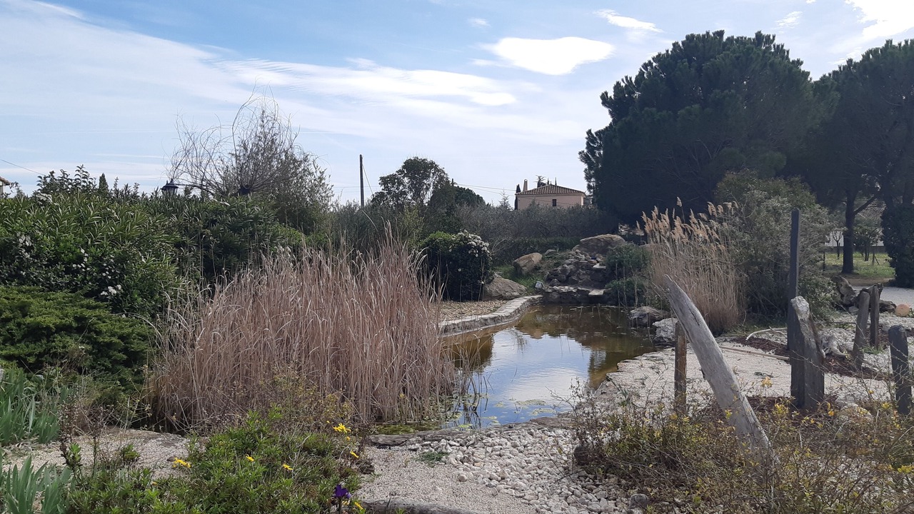 Photo of Outdoor in Arles
