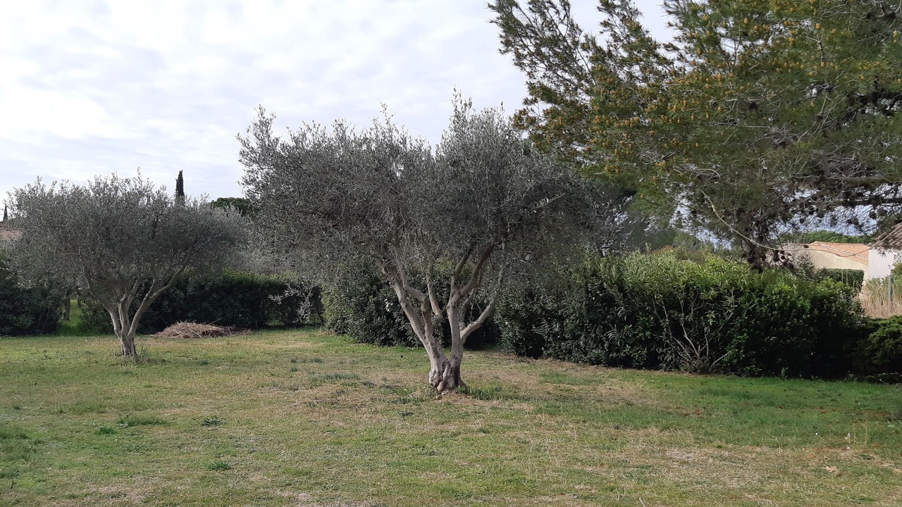 Photo of Outdoor in Arles