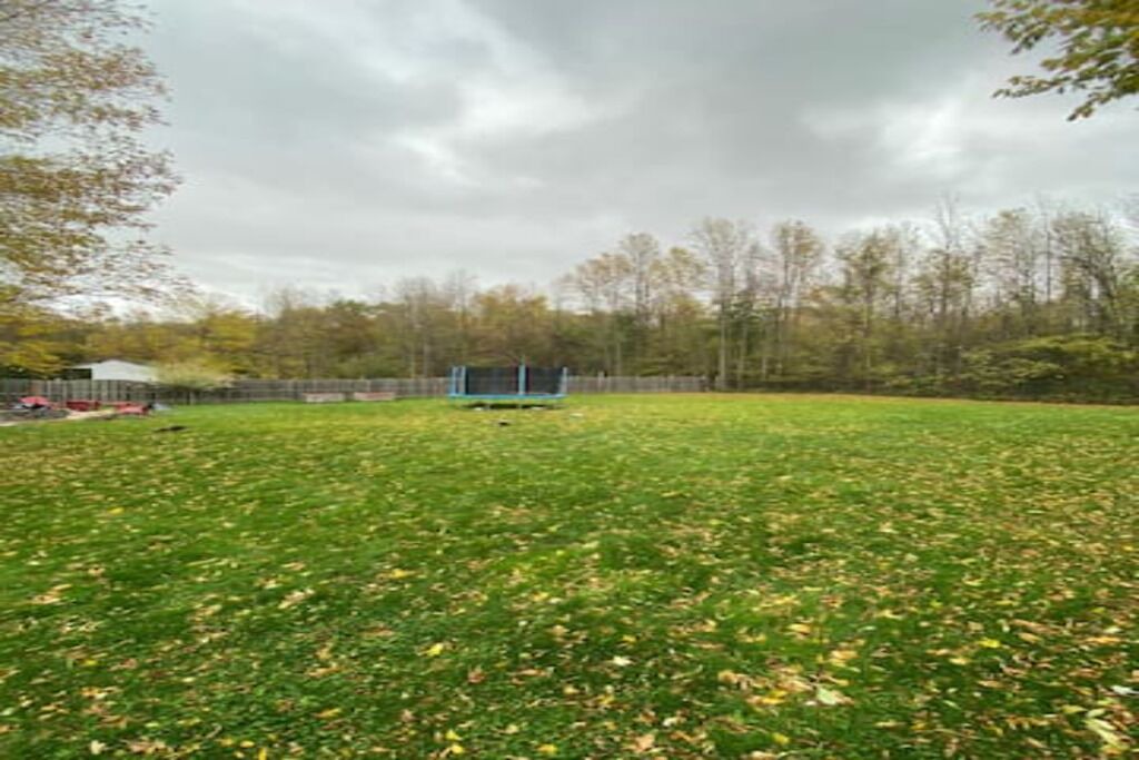 Photo of Others in Glen Huron
