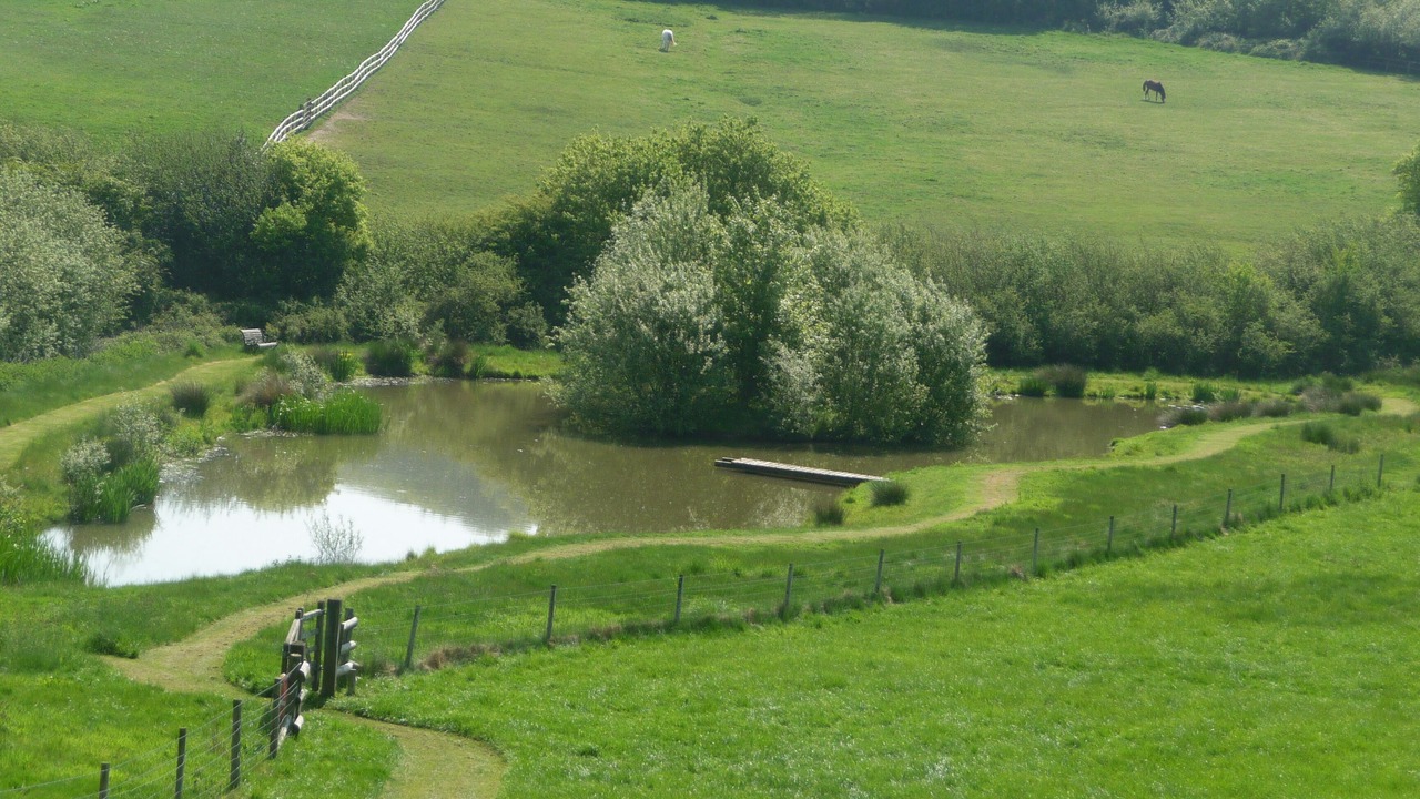 Photo of Others in Pulham