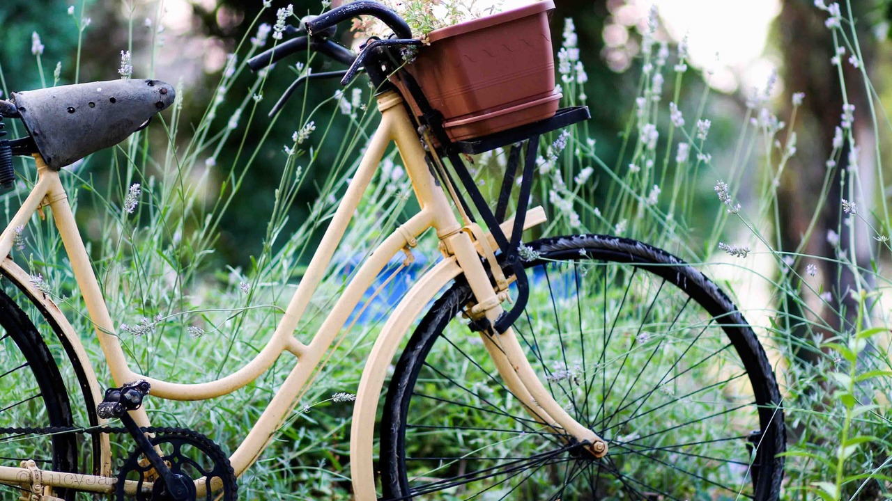 Photo of Outdoor in Rognonas