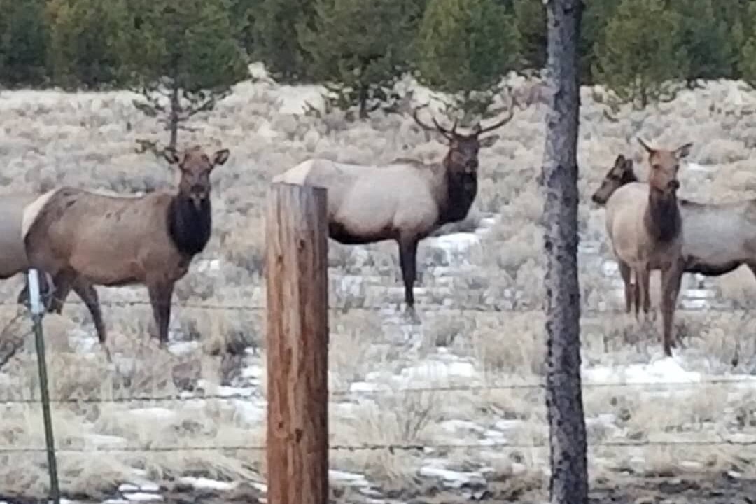 Photo of Others in La Pine