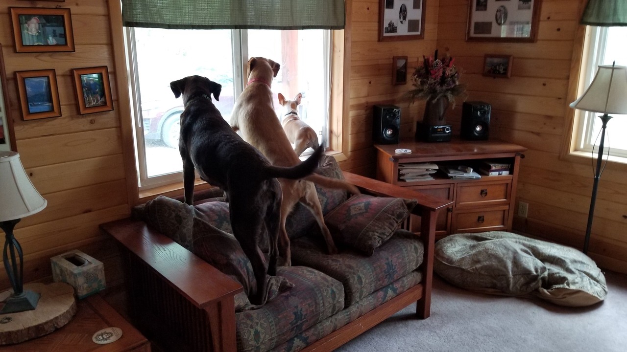 Photo of Others in La Pine