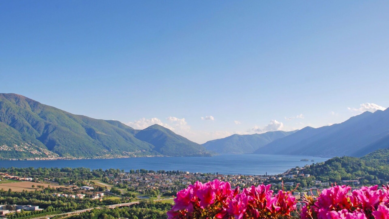 Photo of Others in Locarno