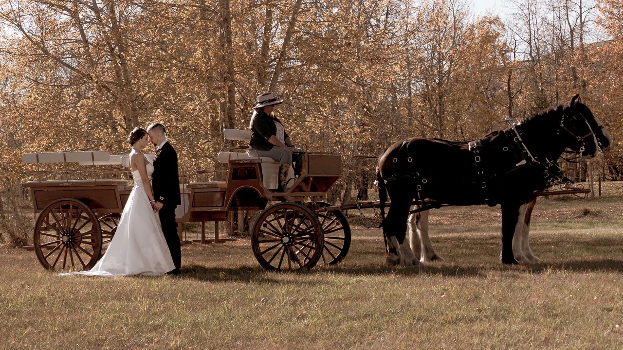 Photo of Others in Turner Valley