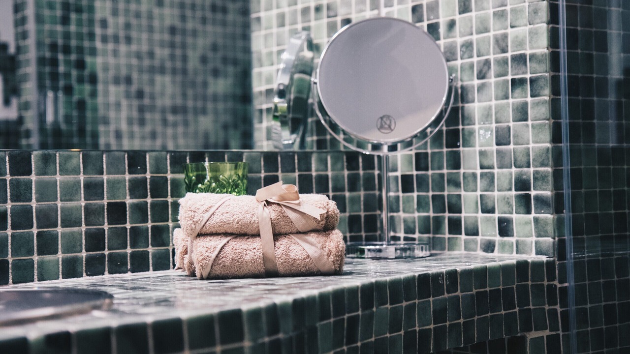 Photo of Bathroom in Santutxu