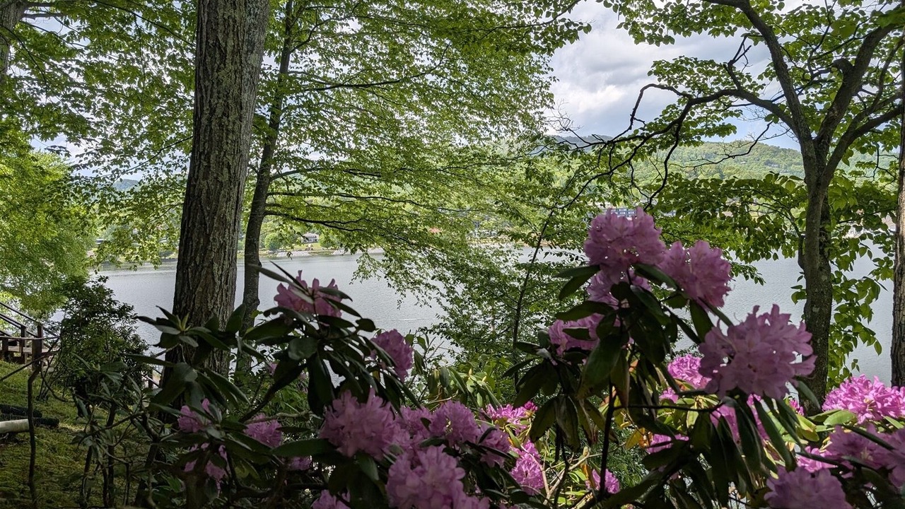 Photo of Outdoor in Lake Junaluska