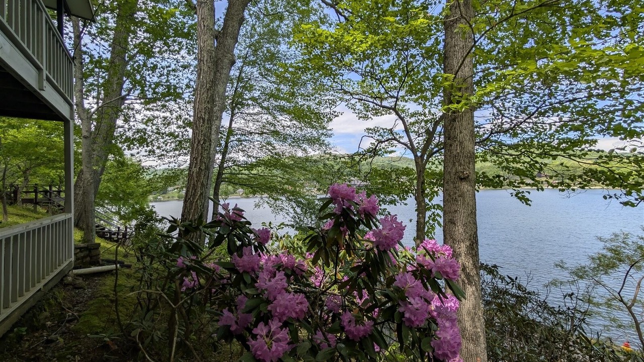 Photo of Outdoor in Lake Junaluska