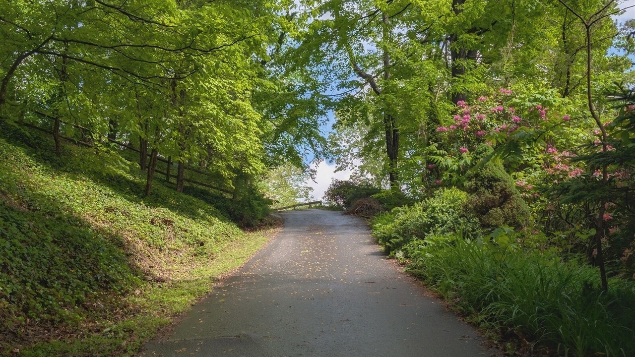 Photo of Others in Lake Junaluska