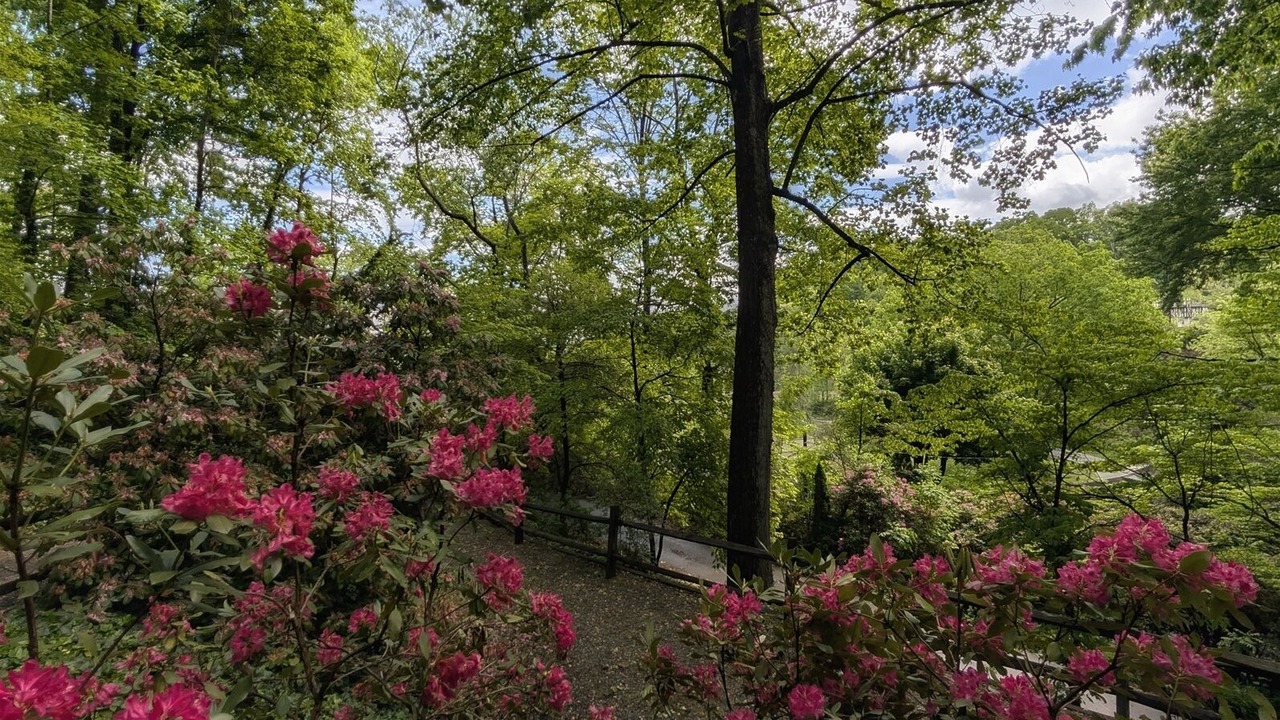 Photo of Outdoor in Lake Junaluska