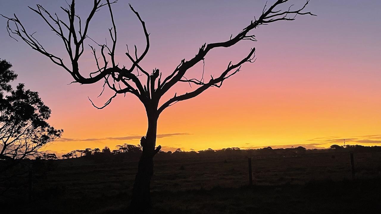 Photo of Others in Merricks Beach
