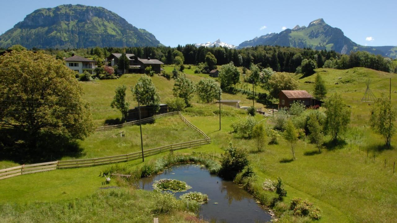 Photo of Others in Seelisberg