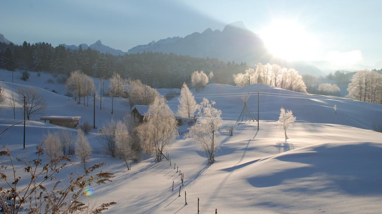 Photo of Others in Seelisberg