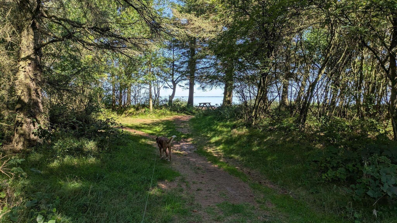 Photo of Others in Sønder Nissum