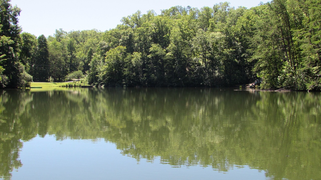 Photo of Outdoor in Lake Lure