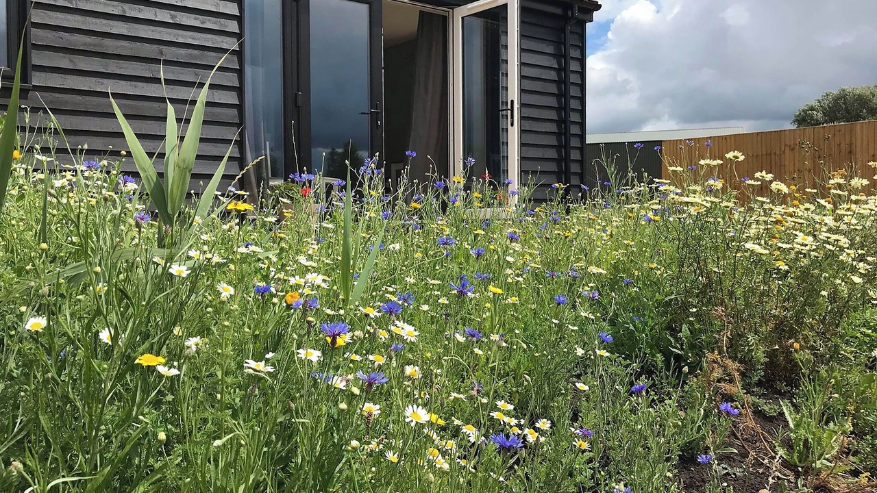 Photo of Others in Huntingdon