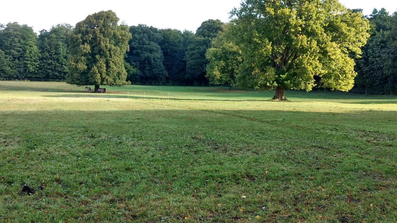 Photo of Others in Togeholt