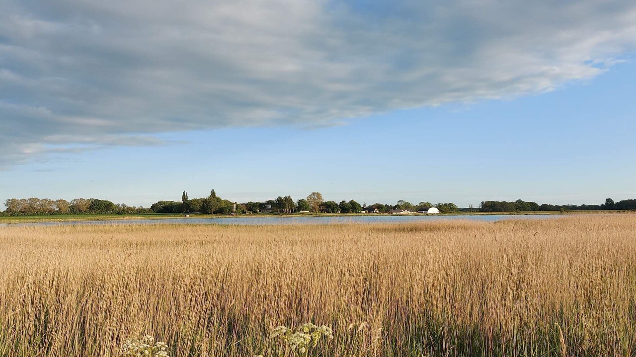 Photo of Others in Togeholt