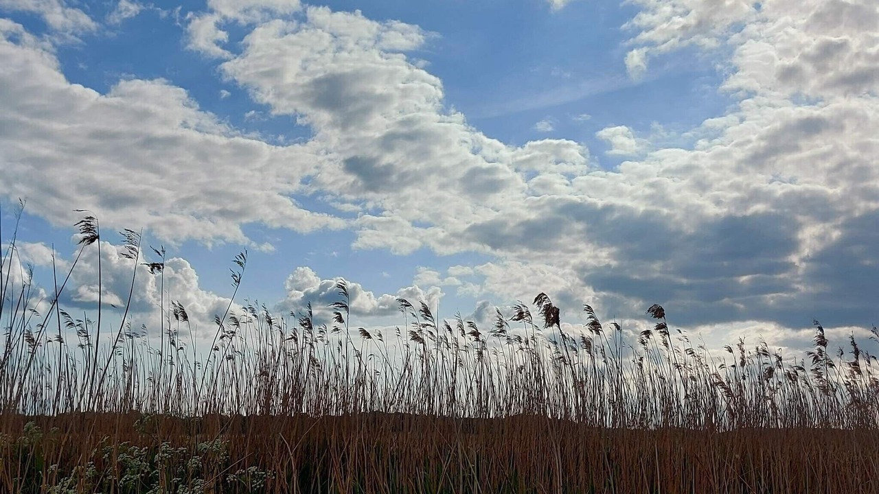 Photo of Others in Togeholt