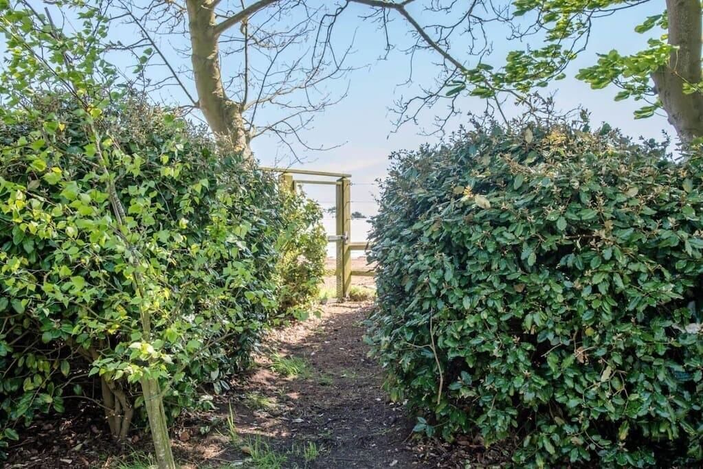 Photo of Outdoor in Sudbourne